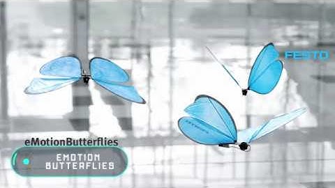 Robotic Butterfly | E motion butterfly