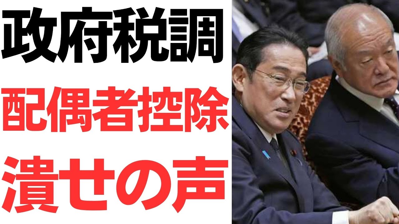 配偶者控除をめぐる政府税調の議論を扱う動画のサムネイル
