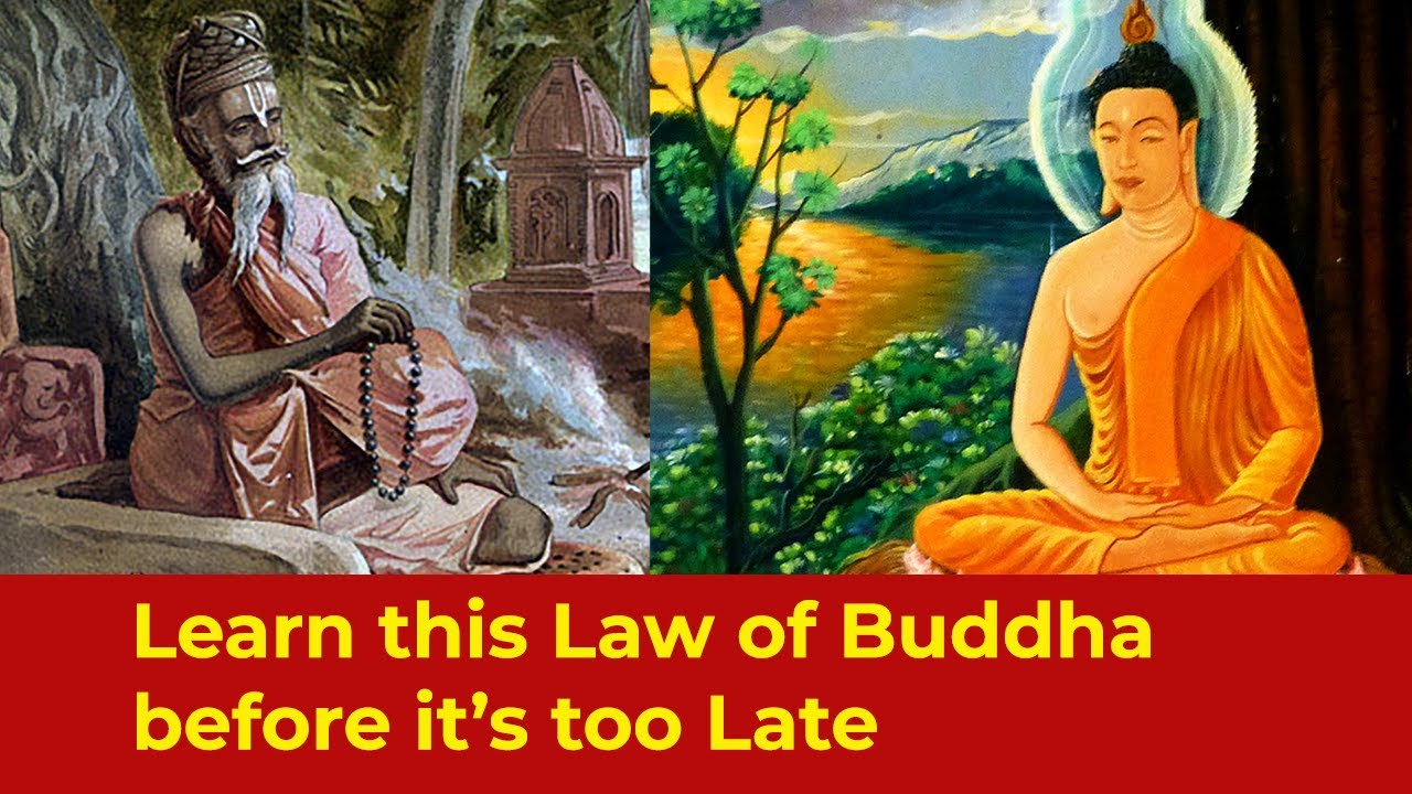 This Law of Buddha can Save Your Life : Inspirational stories of Buddha ...