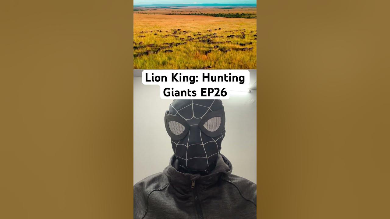 Lion King Hunting Giants EP26 lions wildlife animals africanwildlife discovery lionking