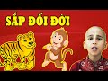 CẬU BÉ TIÊN TRI KHẲNG ĐỊNH: 6 Con Giáp Thoát Mọi Hoạn Nạn, Đổi Vận Giàu ...