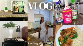HOME MAKING VLOG: LIFE LATELY | HOME RESET | COOKING | HAULS 