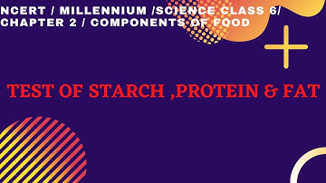 TEST OF STARCH/PROTEIN/FAT/COMPONENTS OF FOOD/CLASS 6/CHAPTER 2 /SCIENCE/NCERT