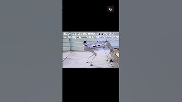 This quadruped will climb stairs while being pulled and kicked.  #mobilerobotics #trending #robotics