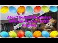 Alexthatholidayguys official easter 2022 display