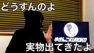 今後のチャンネルの方向性について実物が語ります