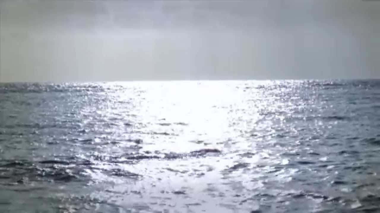 Orca. Best places to swim - YouTube