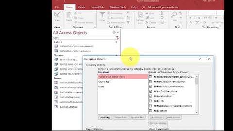02 The Access Navigation Pane
