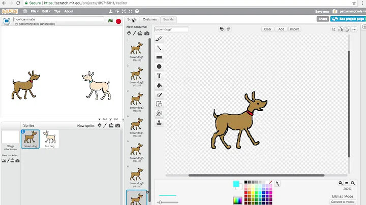 animationcodewit...