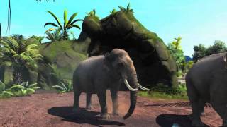 ZooTycoon Broll HD8M