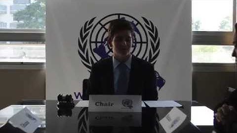 WildMUN Training Program - Model UN Points and Motions