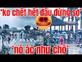 Người dự báo thảm họa ở Hạ Long - quá rõ ràng là do lòng tham và tắc trách