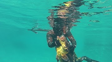 Ψαροντούφεκο - Μεγάλος Ροφός - Spearfishing the Big Dusky Grouper ✔