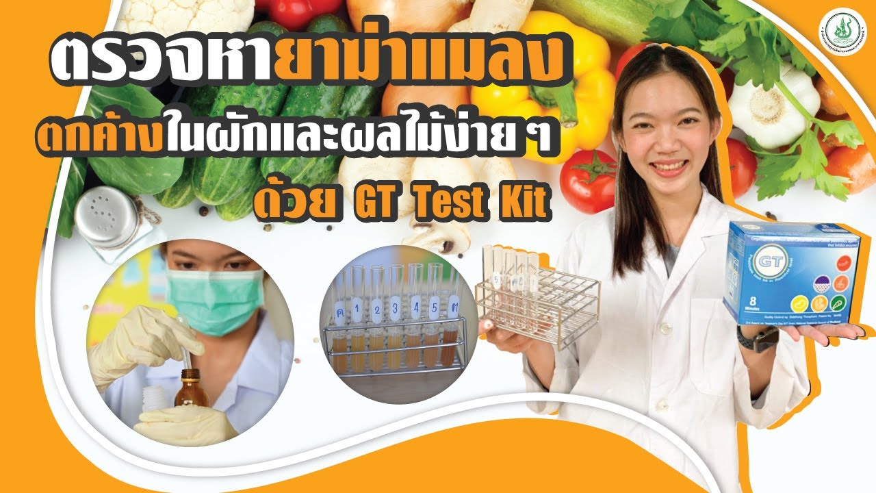 ชุดทดสอบ  Update New  การตรวจยาฆ่าแมลงตกค้างด้วยชุดทดสอบยาฆ่าแมลง/สารตกค้าง จีที (GT Test Kit)