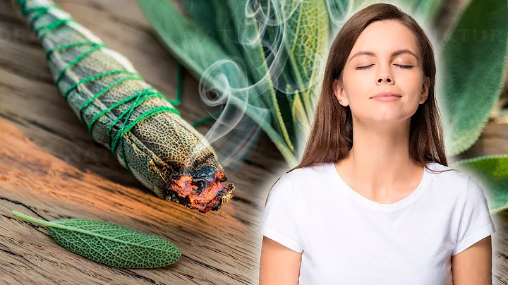 Burning Sage Can Clean The Air And Improve Your He...