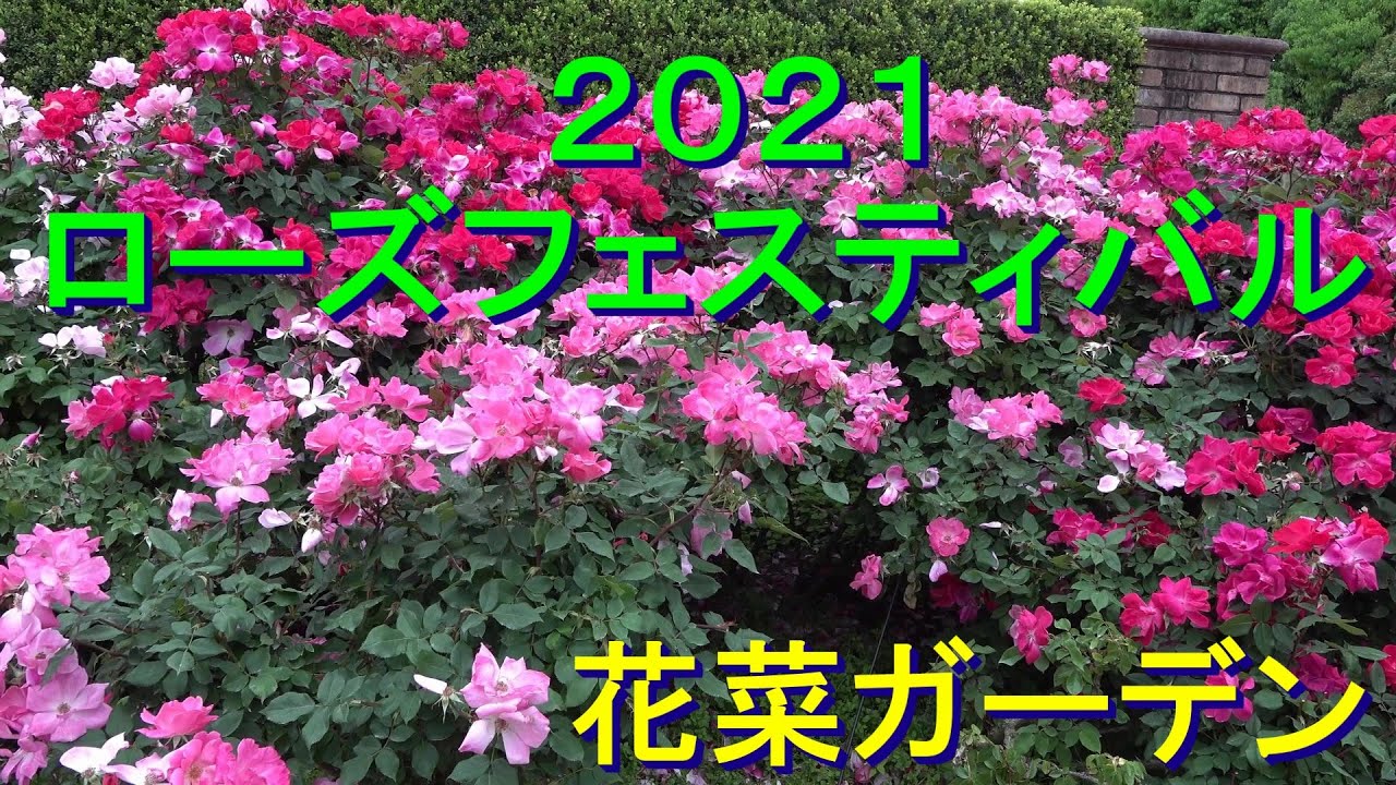 18国際バラとガーデニングショウ ガーデニング編 International Rose Gardening Show 18 Gardening Sector Youtube 18国際バラとガーデニングショウ ガーデニング編 International Rose Gardening Show 18 Gardening Sector Youtube