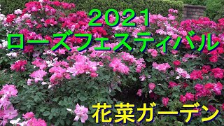 ローズフェスティバル２０２１春　『花菜ガーデン』［4K］Rose Festival 2021 in KANA-garden