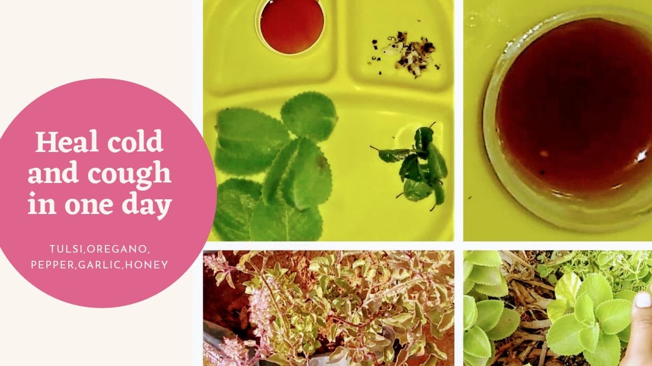 ayurvedic cough syrup for kids HOMEMADE COUGH SYRUP YouTube