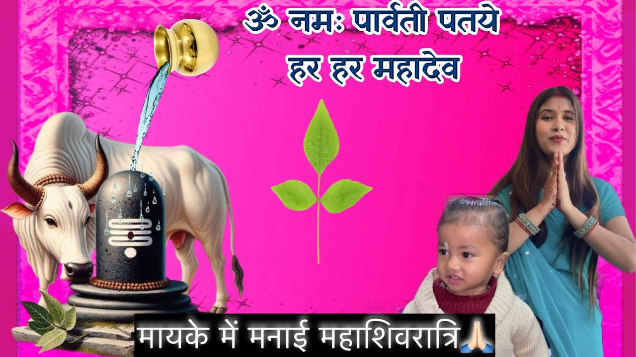 Es bar ki shivratri manae maike mein || sabudana kher recipe @Shivikchhetri-16   #shivratri #vlogger