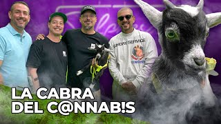 LA CABRA DEL CANNABIS Y EL KRAKEN DE $4K - Dame La Verde