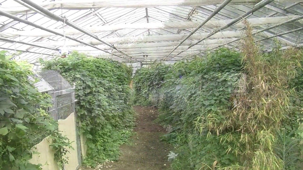 Willkommen in CHELONIA - Deutschlands größtem Schildkrötenrefugium!