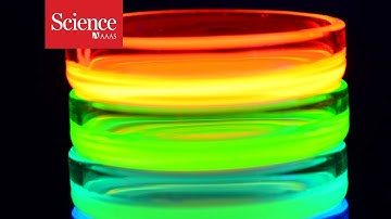 Everything you ever wanted to know about perovskite