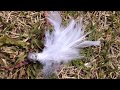 自作ルアーのフェザージグでバス釣り|②自作ルアーでバス釣り|How to make a Feather Jig|ひろ坊バス釣りHirobou Fishing|ハンドメイドルアー