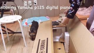 Yamaha Digital Piano P-125 White Unboxing 야마하 디지털 피아노 개봉기