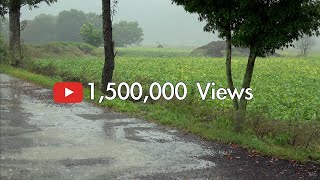 [4K] Heavy Rain on a country road. Rain Sounds for Deep Sleep . Relaxation .Ultimate Stress Relief