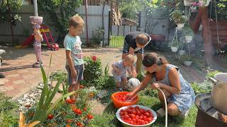 Download Lagu Moeilijk maar gelukkig bergleven: moeders courgettetaart en vaders stenen put MP3 Download Lagu Moeilijk maar gelukkig bergleven: moeders courgettetaart en vaders stenen put MP3