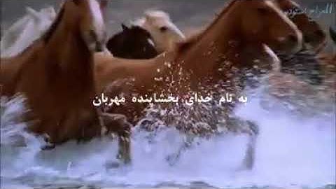 والعاديات،قاري هشام،waladyat,بهترين قران, غمگین ترین صدا،سوره عادیات,adyat