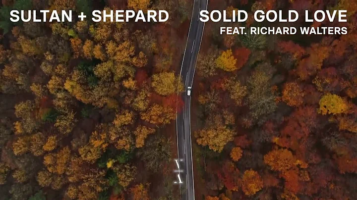 Sultan + Shepard - Solid Gold Love feat. Richard W...