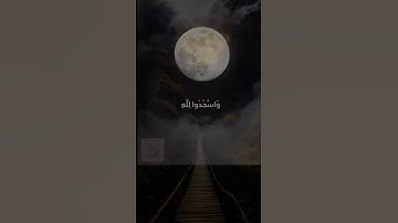 ومن آياته الليل والنهار والشمس والقمر 🤍 #المصحف #القرآن_الكريم #اسلاميات