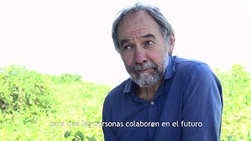 Dr. William Sutherland - CDF