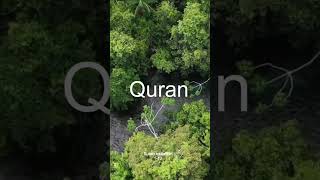 Surah al Mutaffifin Ayat No 1-12 Quran Translation In Urdu
