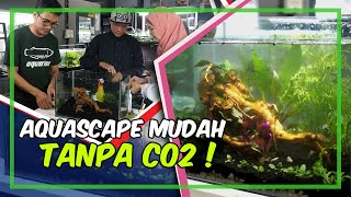 Cara Buat Aquascape (Low Tech) Tanpa CO2