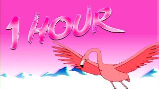 Flamingosis - Flight of The Flamingo [1 HOUR]