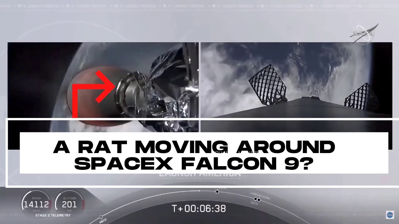 A RAT MOVING AROUND SPACEX FALCON 9? - YouTube