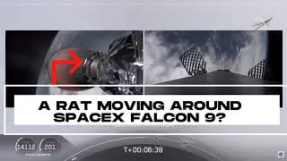 A RAT MOVING AROUND SPACEX FALCON 9