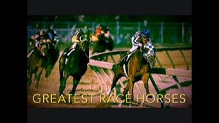 Greatest Racehorses Of All Time  Top 10