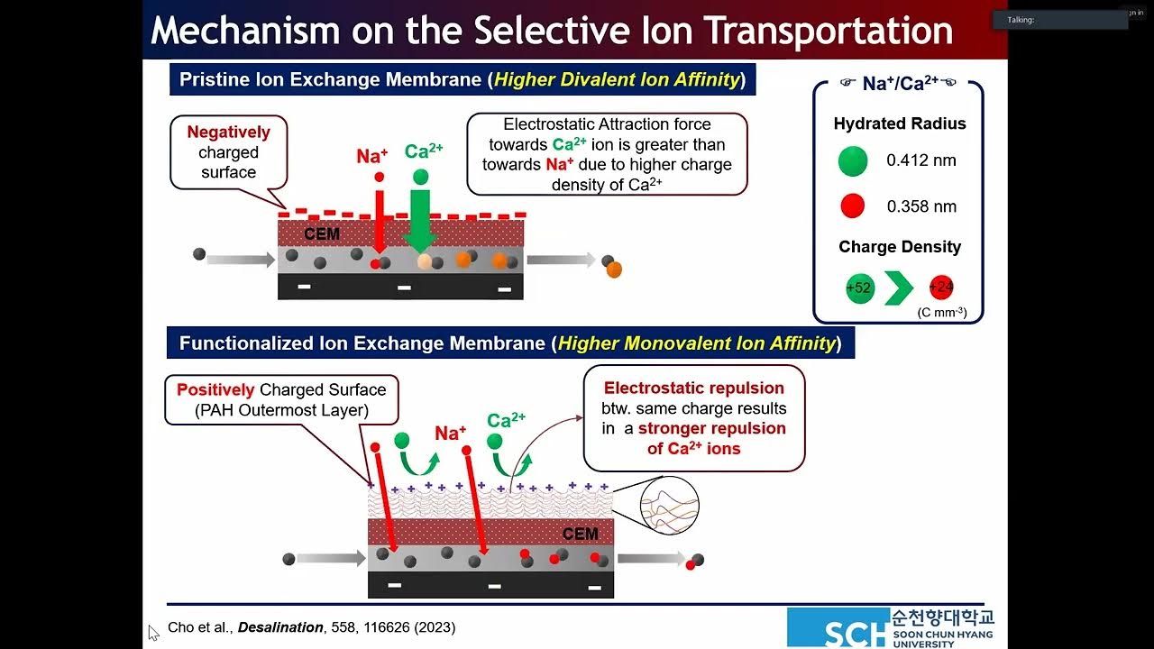 Selective continuous Ion recovery using FCDI with polymer multilayers