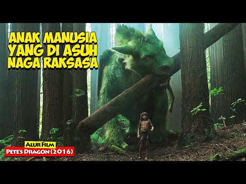 Kisah Anak Manusia Yang Di Asuh Oleh Naga Raksasa... | Alur Cerita Film PETE&rsquo;S DRAGON (2016)