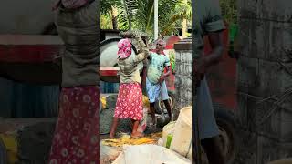 Lintel Concrete Work Completed | Jisha Viji’s House | Kairampara, Ottapalam | Dhilna Builders