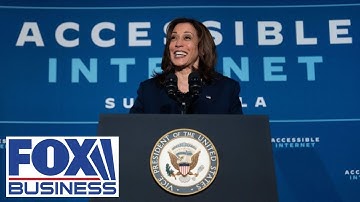 NYU prof on VP Harris’ AI meeting: There should be scientists in the room