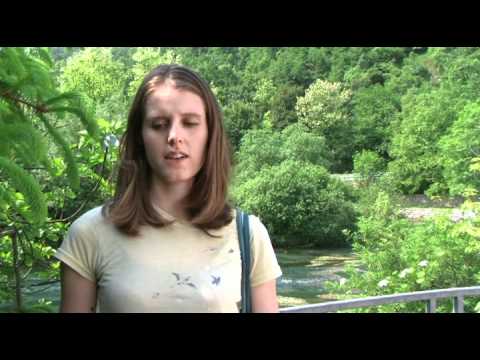 Published on 29 July 2011 by Memoria Immateriale, this 9-minute-16-second video is titled “Polcenigo (PN) - Martina Janes - Area archeologica Palù del Livenza.” Its description identifies Martina Janes as explaining the archaeological area by the Livenza spring. The focused subject makes it a useful historical companion to a visit to the wetland, whose Neolithic evidence is largely preserved in place. The upload is an older documentary contribution, not a current guide to paths, conservation rules or visitor services; check local notices before setting out.