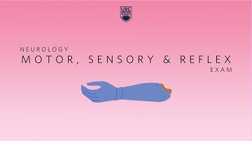 Neurology: Clinical Skills - Motor, Sensory, & Reflex Neurological Exam #neurology #ubcmedicine