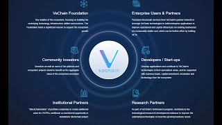 What is Vechain (VET) explained In 1 Minute (00:01)