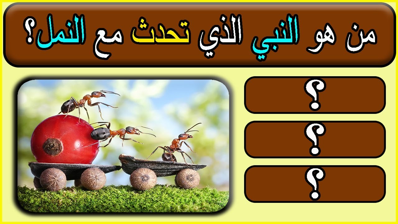 اسئلة دينية متنوعة عن القران والانبياء والصحابة اختبر معلوماتك اسئلة هو النبي