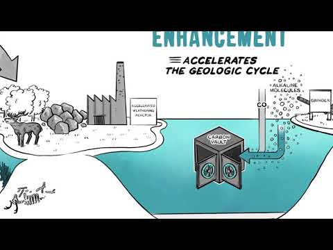 Ocean Alkalinity Enhancement (OAE) - a ClimateWorks production