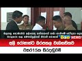 අලි|sin